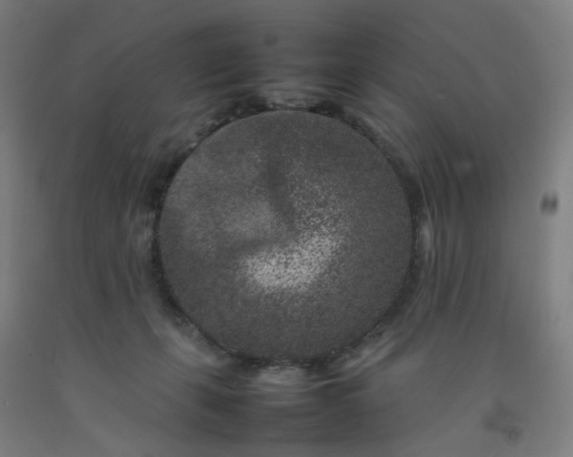 X0000092230271200709281110