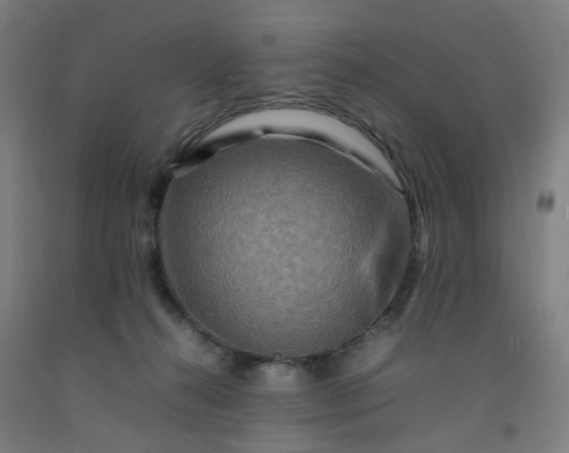 X0000092230272200709281110