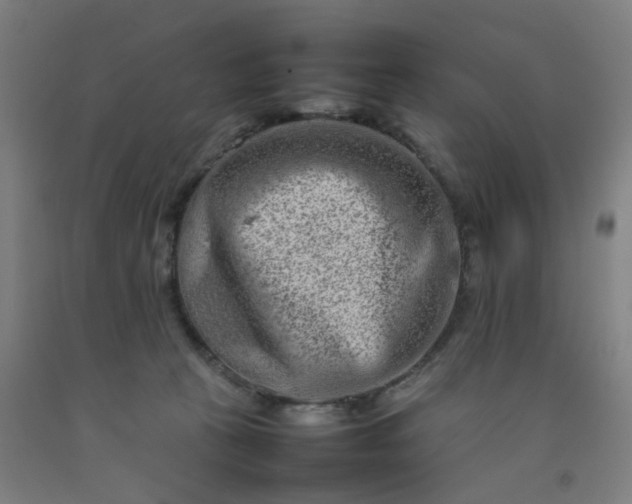 X0000092230273200709281110