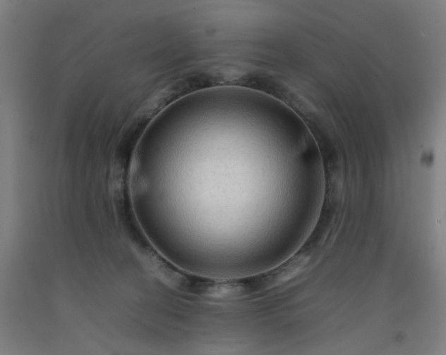 X0000092230274200709281110