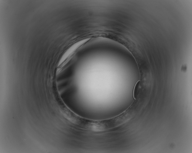 X0000092230275200709281110