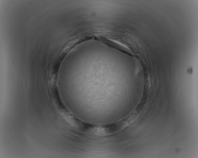 X0000092230276200709281110