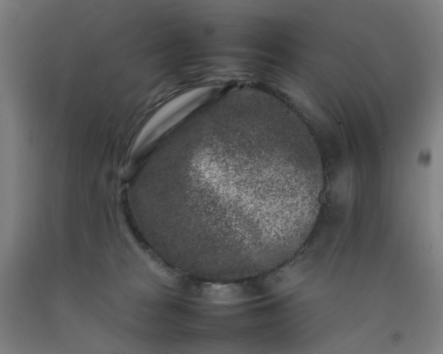 X0000092230277200709281110