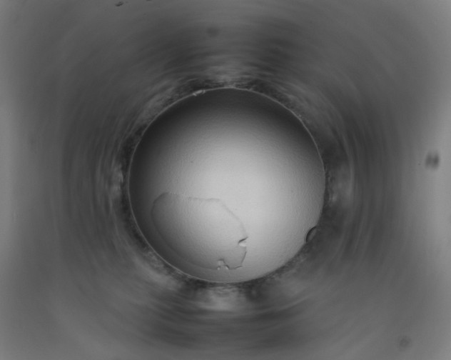 X0000092230279200709281110