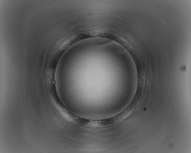 X0000092230280200709281110