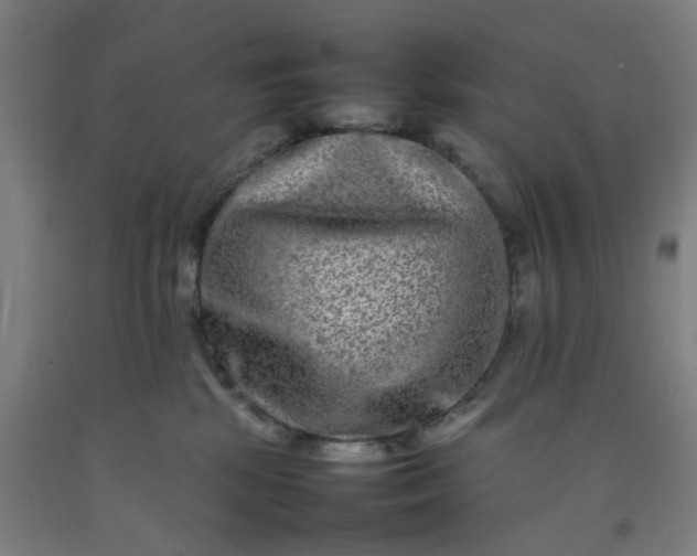 X0000092230281200709281110