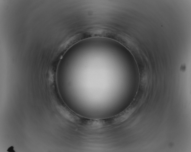 X0000092230282200709281110