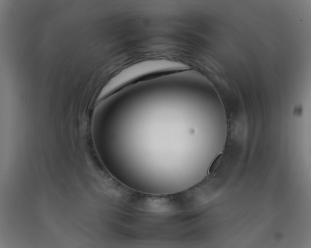 X0000092230283200709281110