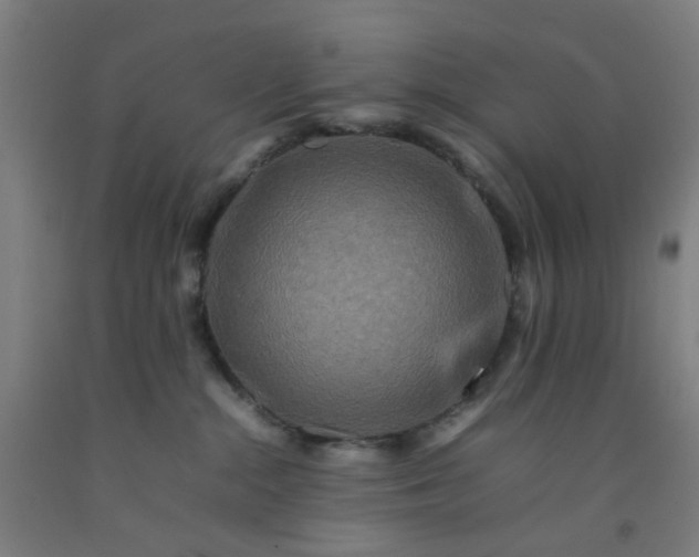 X0000092230284200709281110