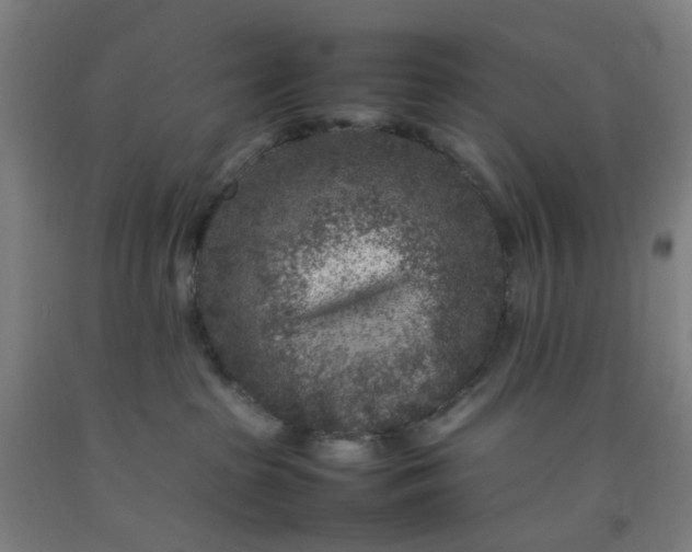 X0000092230285200709281110