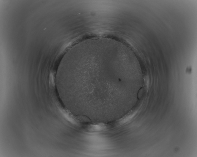 X0000092230286200709281110