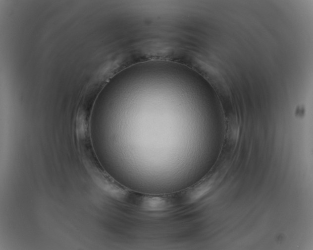 X0000092230287200709281110