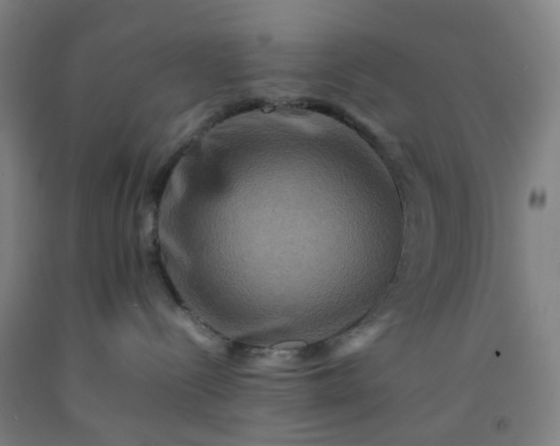 X0000092230288200709281110