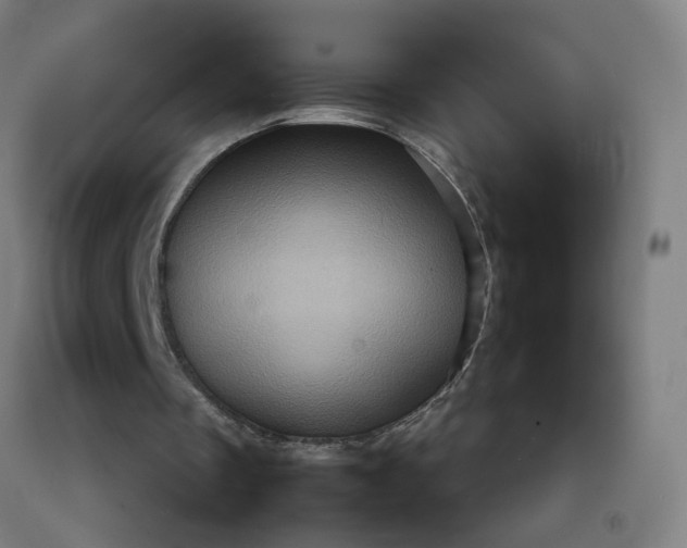 X0000092230289200709281110