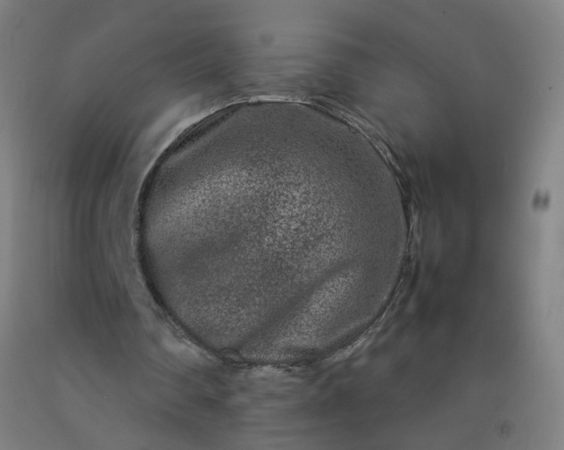 X0000092230290200709281110