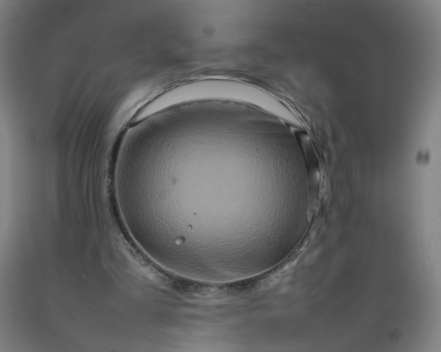 X0000092230293200709281110