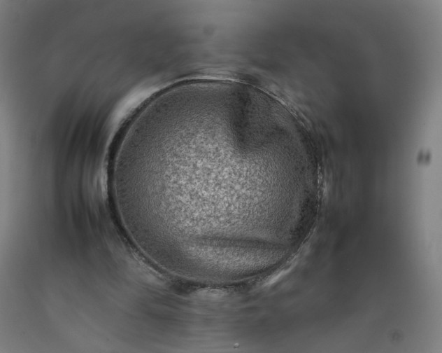 X0000092230294200709281110