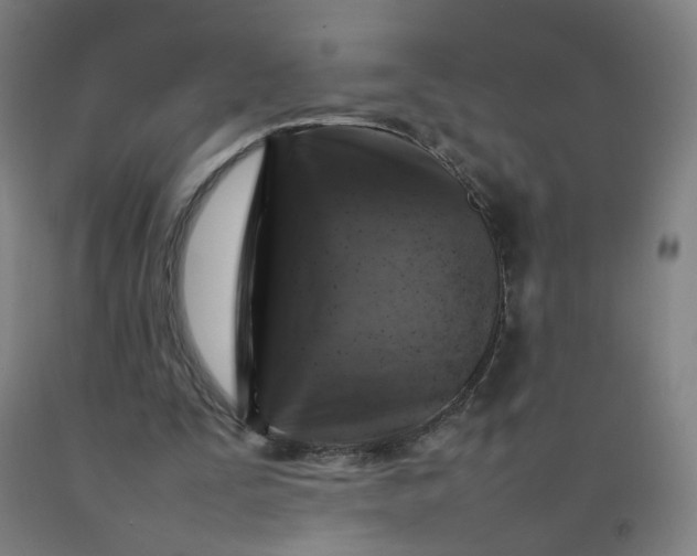 X0000092230295200709281110