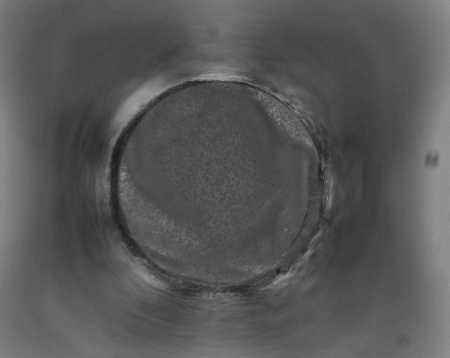 X0000092230296200709281110