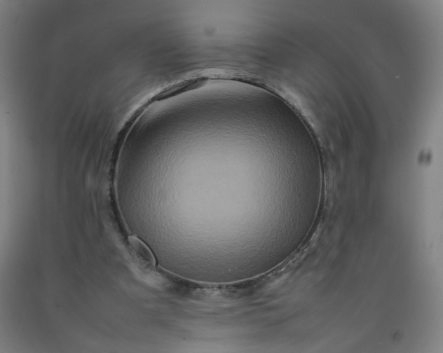 X0000092230297200709281110