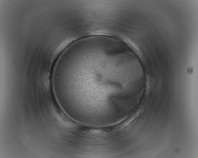 X0000092230298200709281110