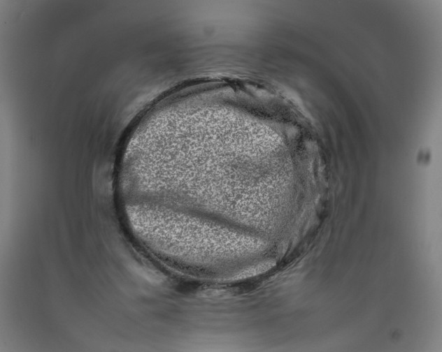 X0000092230299200709281110