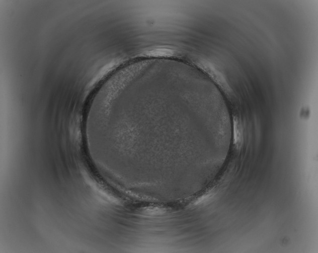 X0000092230300200709281110