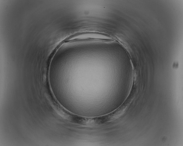 X0000092230301200709281109