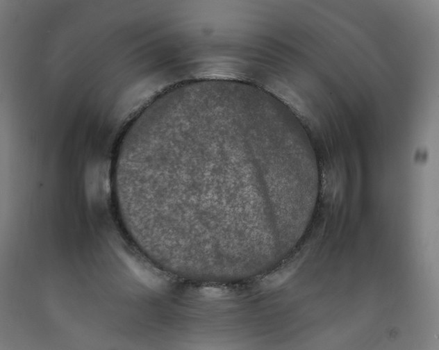 X0000092230302200709281109