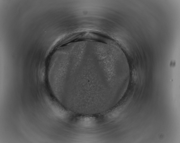 X0000092230304200709281109