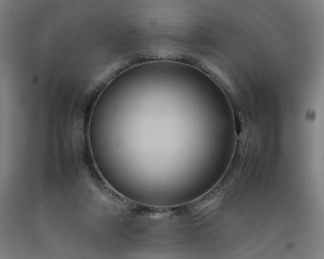 X0000092230306200709281109