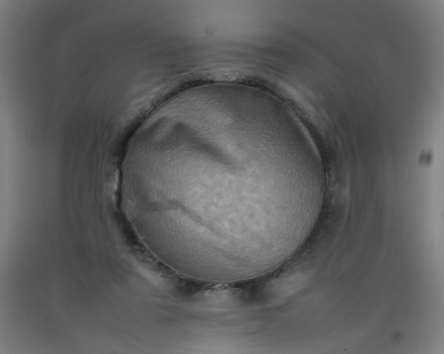 X0000092230307200709281109