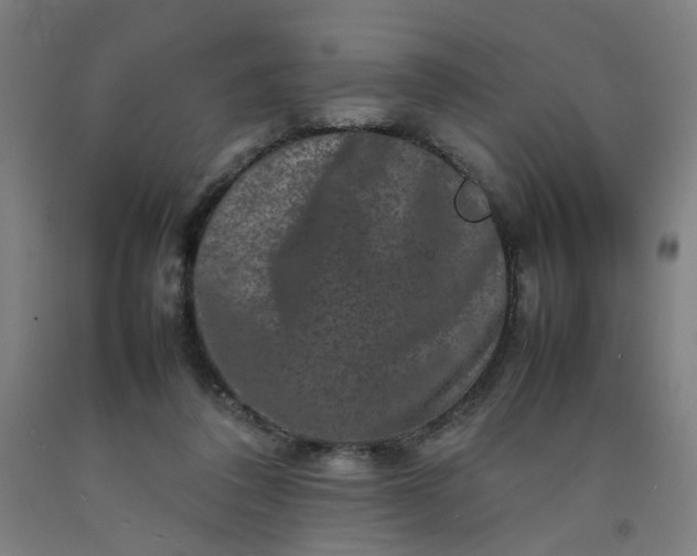 X0000092230308200709281109