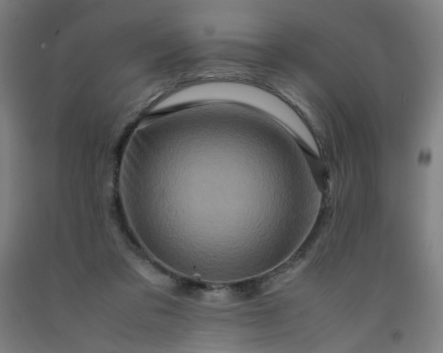 X0000092230309200709281109