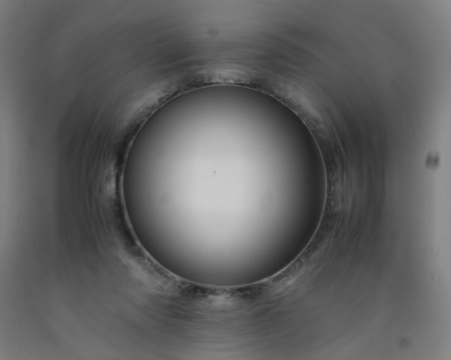 X0000092230310200709281109