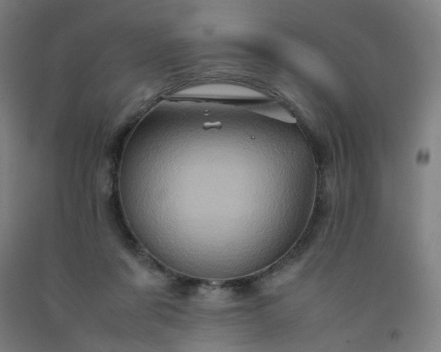 X0000092230311200709281109