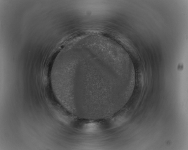 X0000092230312200709281109