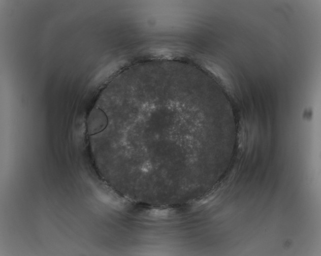 X0000092230314200709281109