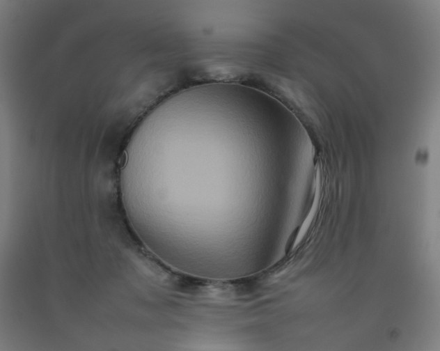 X0000092230317200709281109