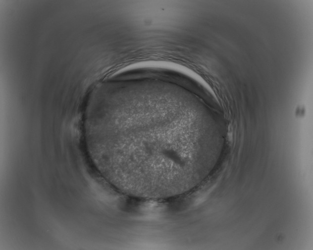 X0000092230319200709281109