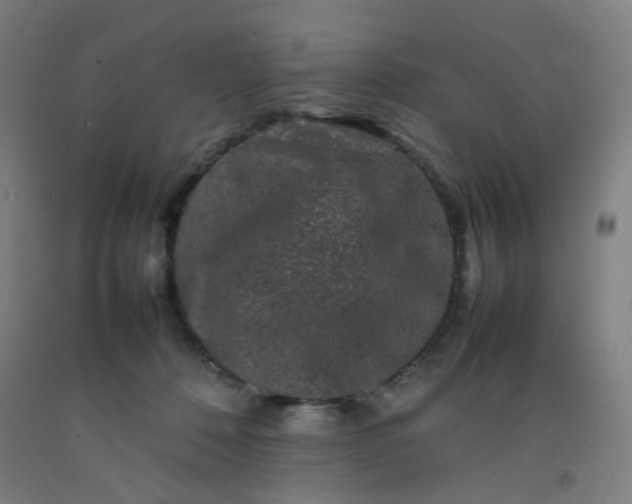 X0000092230320200709281109