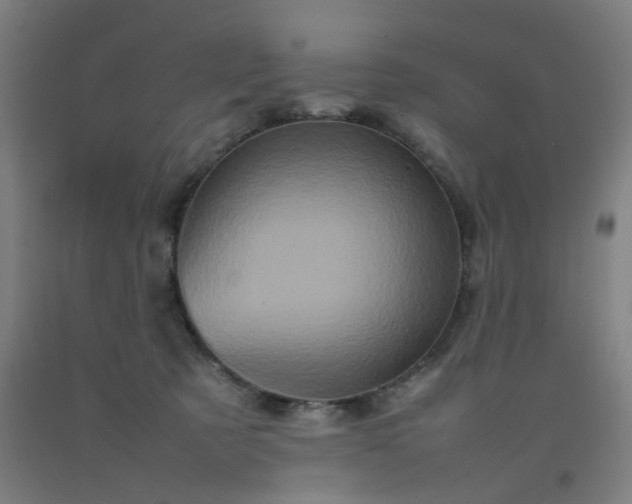 X0000092230321200709281109