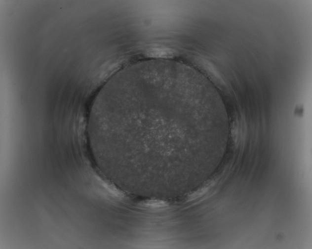 X0000092230322200709281109