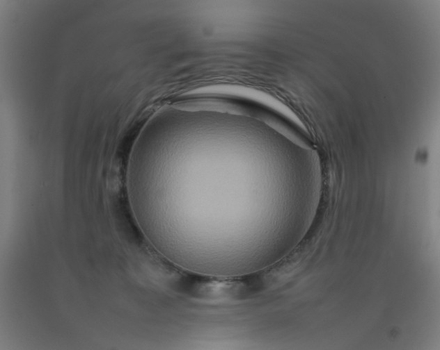 X0000092230323200709281109