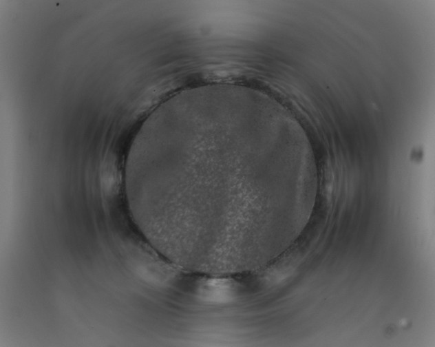 X0000092230324200709281109