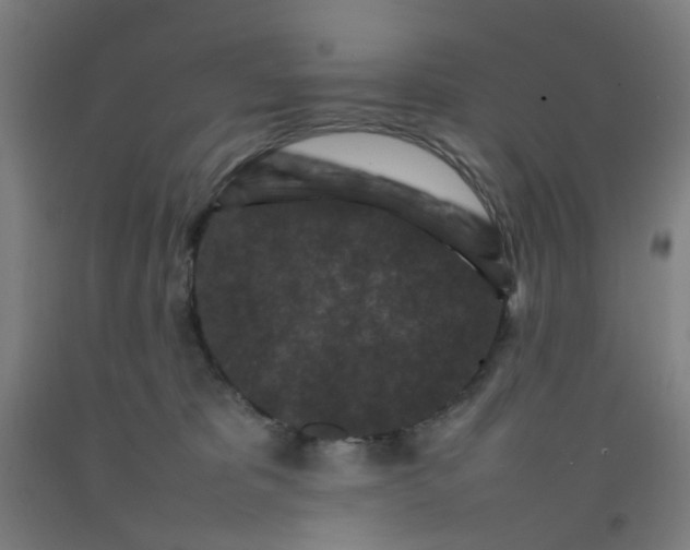 X0000092230325200709281109