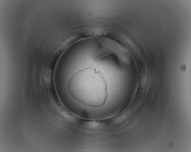 X0000092230326200709281109