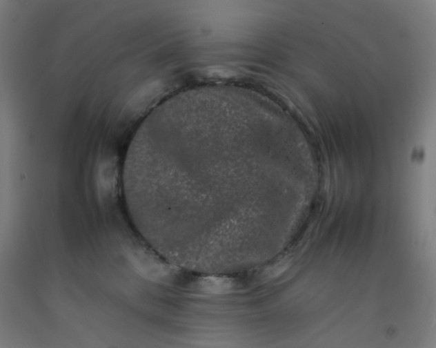 X0000092230328200709281109