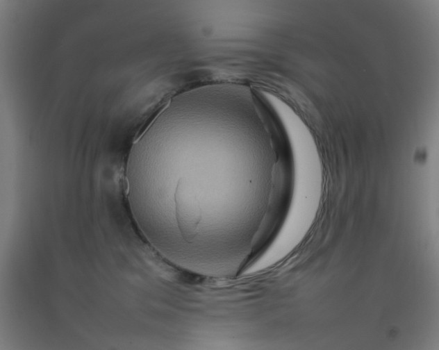 X0000092230329200709281109