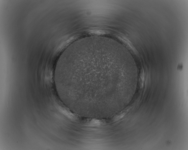 X0000092230330200709281109